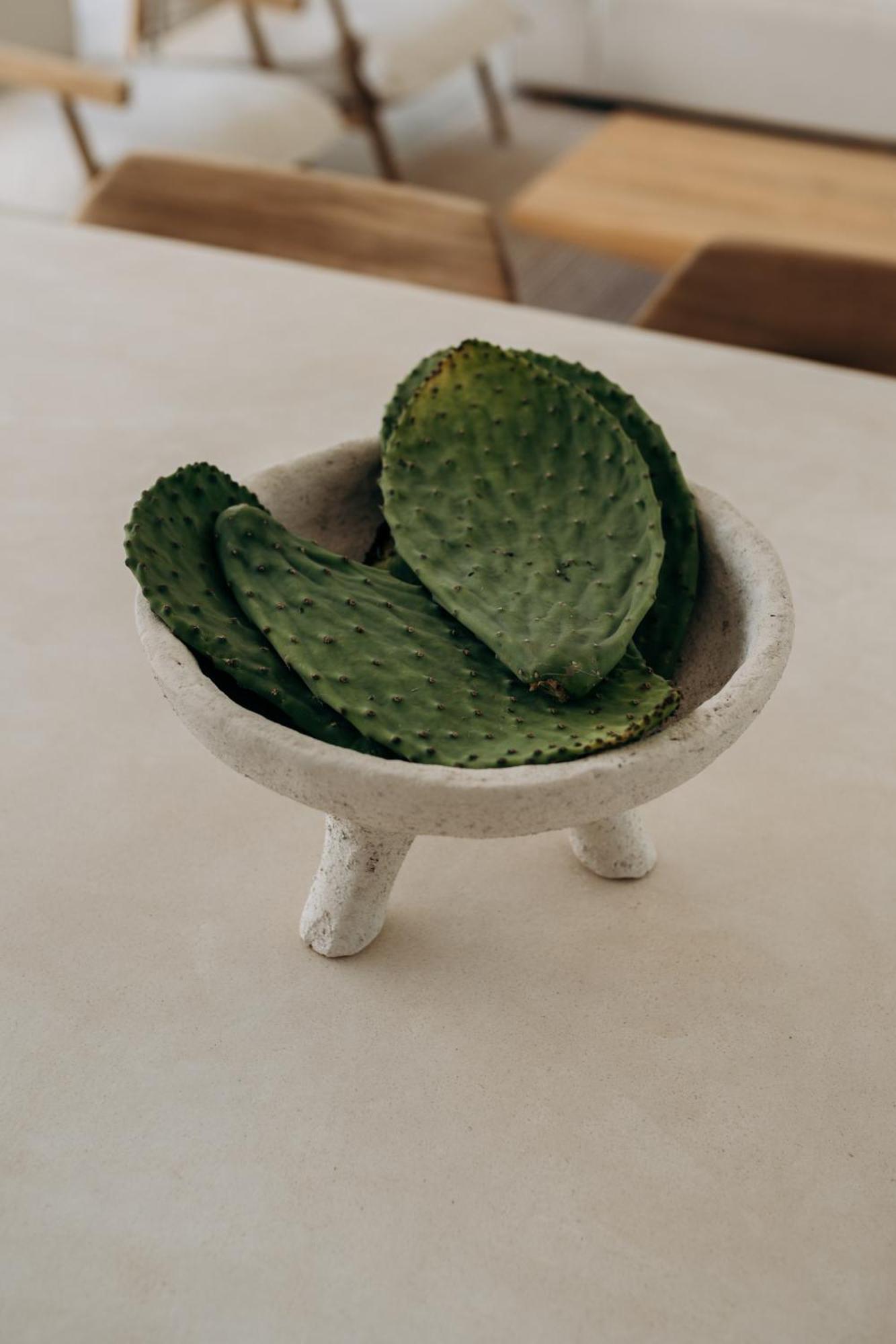 Villa Lev - Celebrated Architectural Designer Villa トゥルム エクステリア 写真